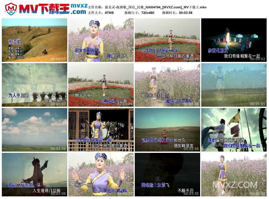 游美灵-祝酒歌_国语_民歌_NAI04194